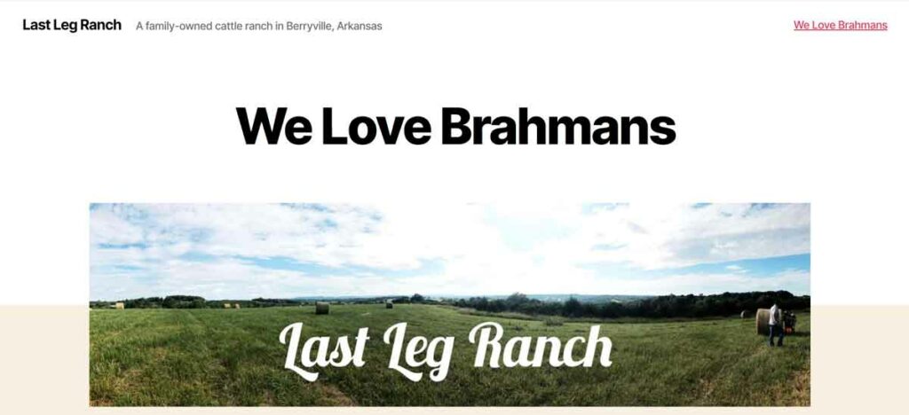 Last Leg Ranch LLC website screenshot.