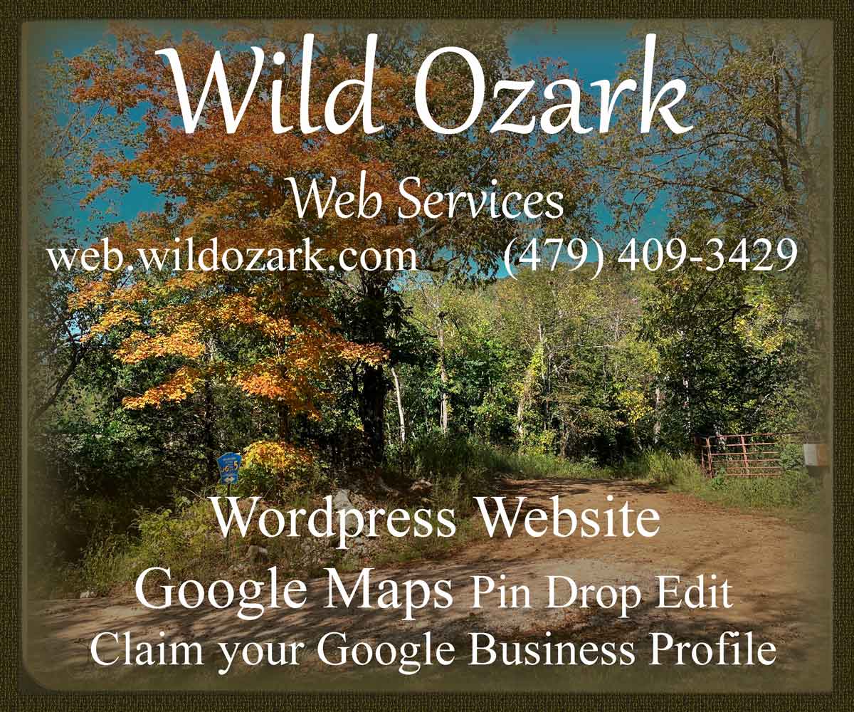 Wild Ozark Web Services can help Madison County Arkansas residents and small businesses improve their internet presence.